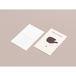 Kaart - Handalfabet ABC