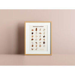 Poster - Nederlands Handalfabet