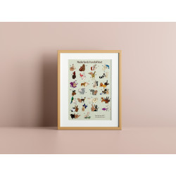 Dierenposter - Nederlands Handalfabet